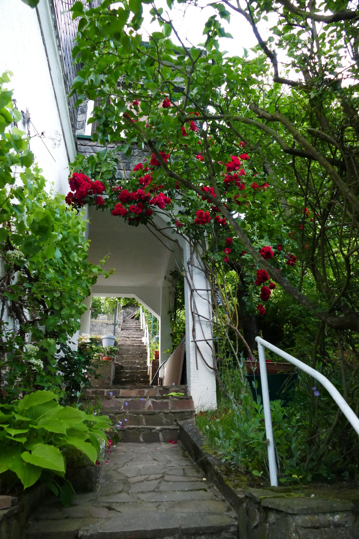 Ferienhaus Cochem No. 9