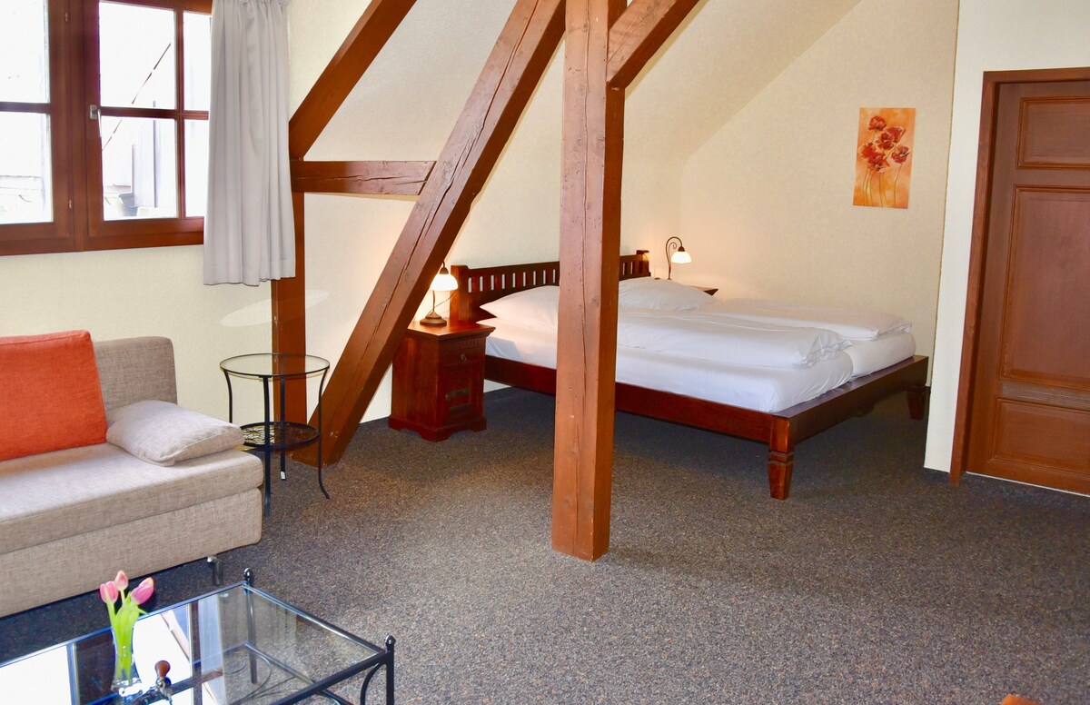 Herrihof酒店和度假木屋（ Todtnau ） ，双人客房，带阳台、淋浴间和马桶
