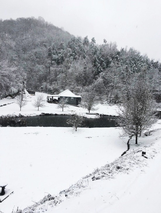 Cody Hollow Cozy Cottage in the Mountains。