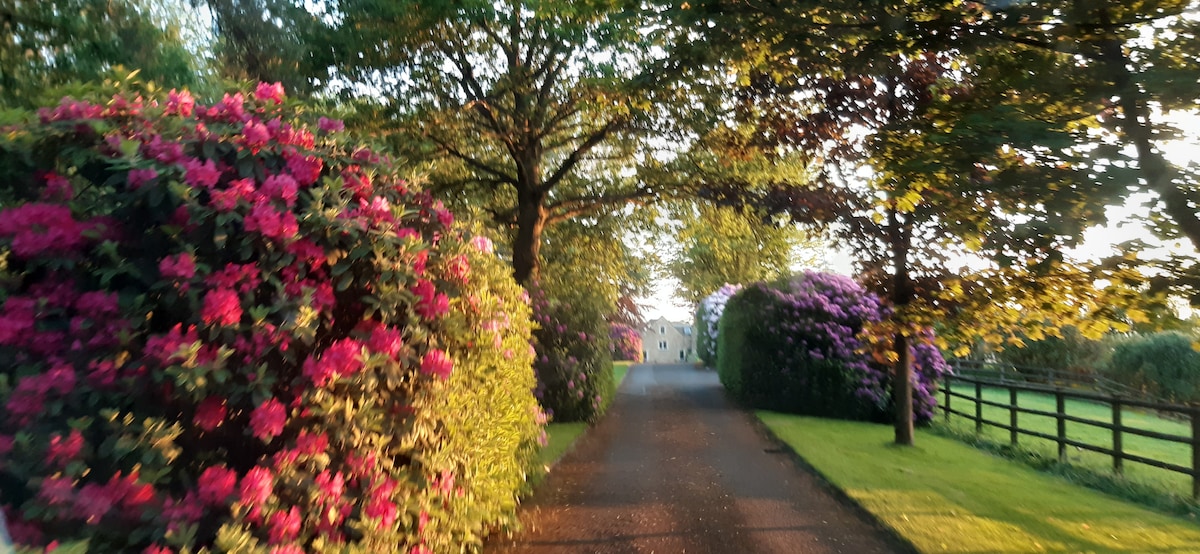 Chipping Campden附近的「Fox 's Den」舒适单间公寓