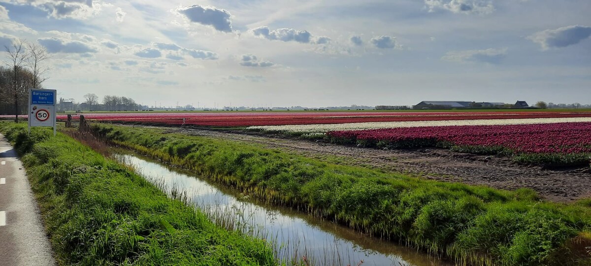 De Oude Stal "West End"