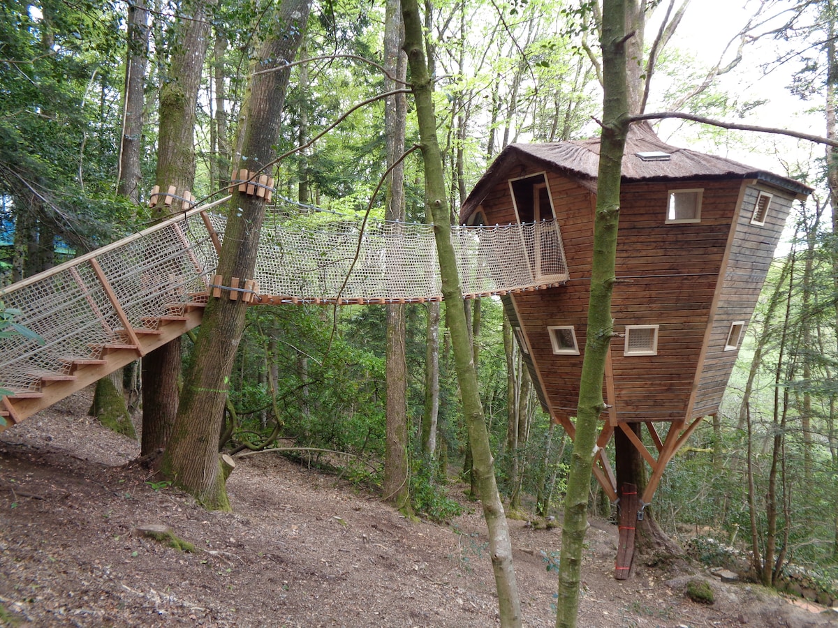 Glamping Tree House Ben Lomond