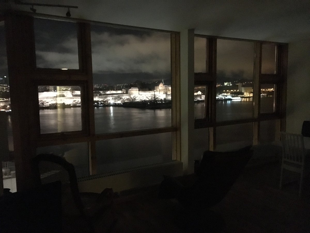 Spectacular view - Aker Brygge Oslo