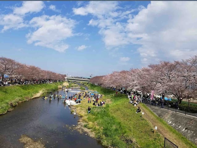 Asaka的民宿