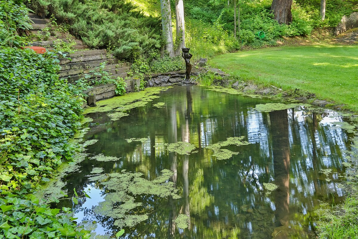 山景客房-布鲁克赛德住宿加早餐房源