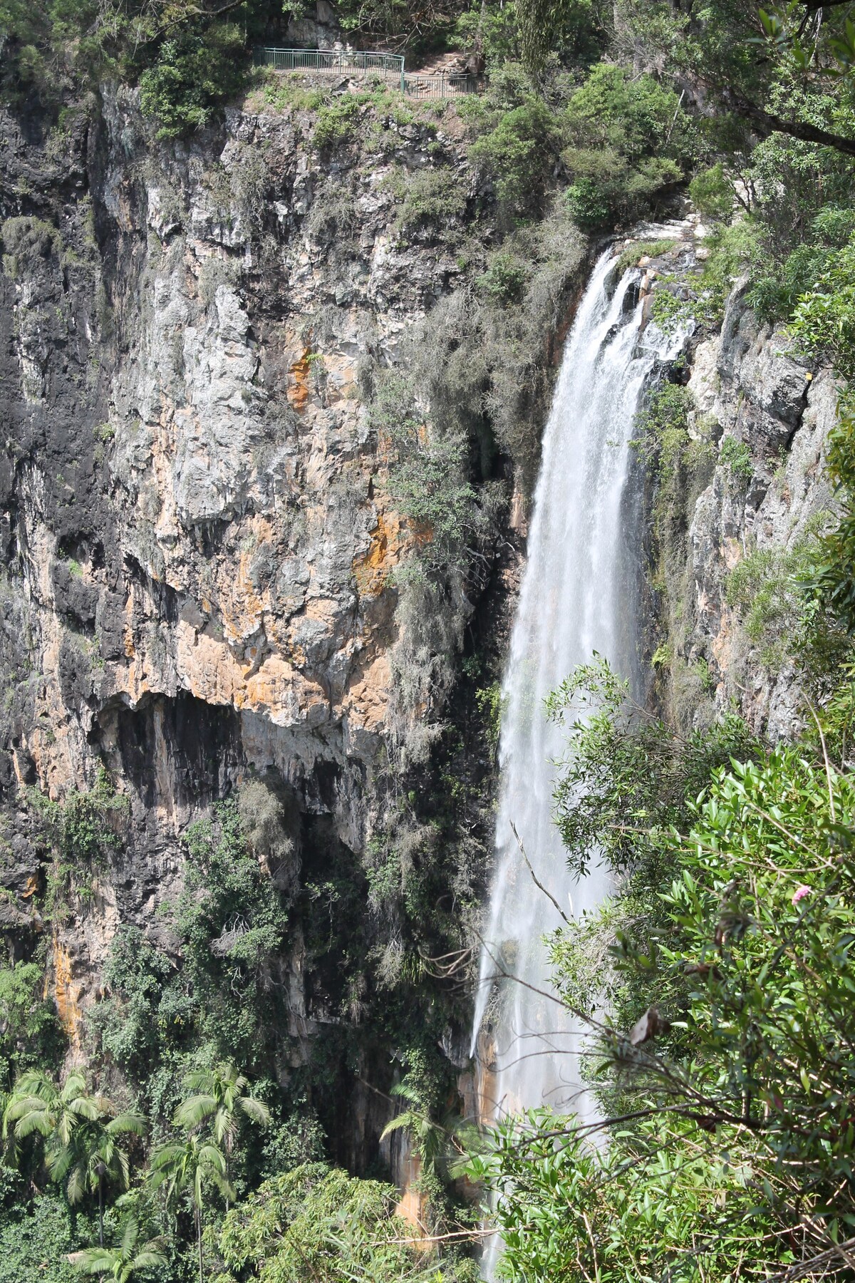 蜻蜓乡村小屋Springbrook