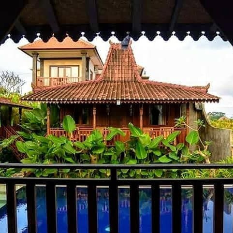 Ubud PAdi View Hostel 1人早餐和泳池