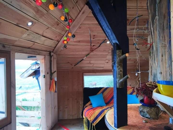 cabane insolite