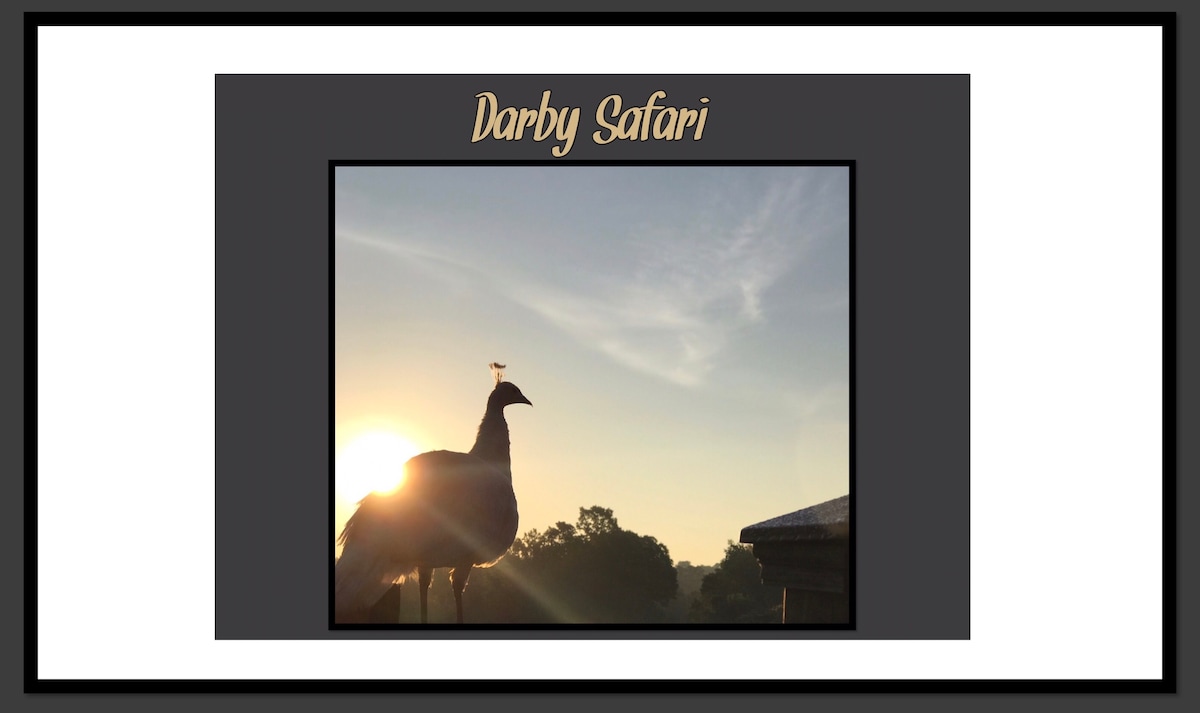 Darby 's Safari公寓可俯瞰宠物动物动物园。