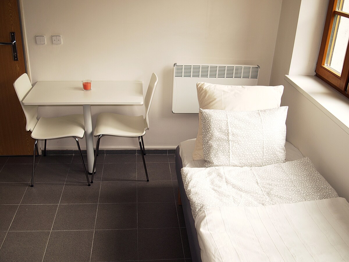 小舒适的单间公寓，靠近布拉格市中心。