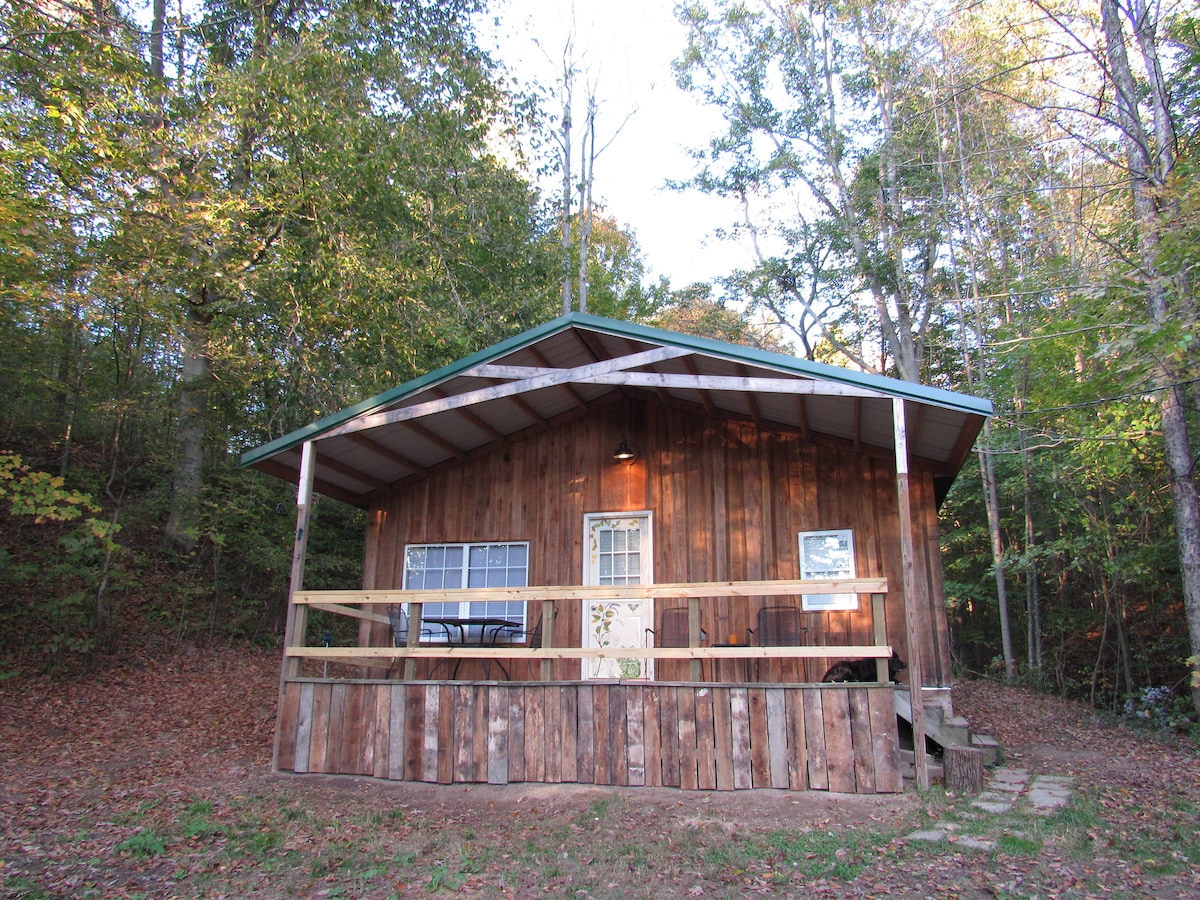 Woodland cabin near Athens and Hocking Hills