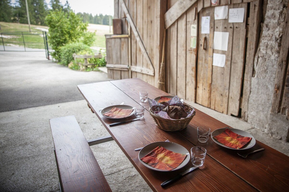 Gîte - Ferme O'Clés ， （ Le Cerneux-Veusil ） ，干草冒险之旅