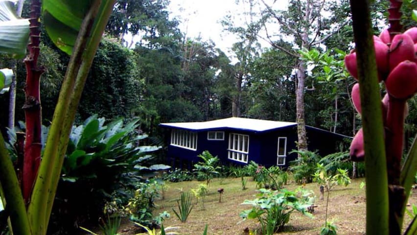 Suva 的民宿