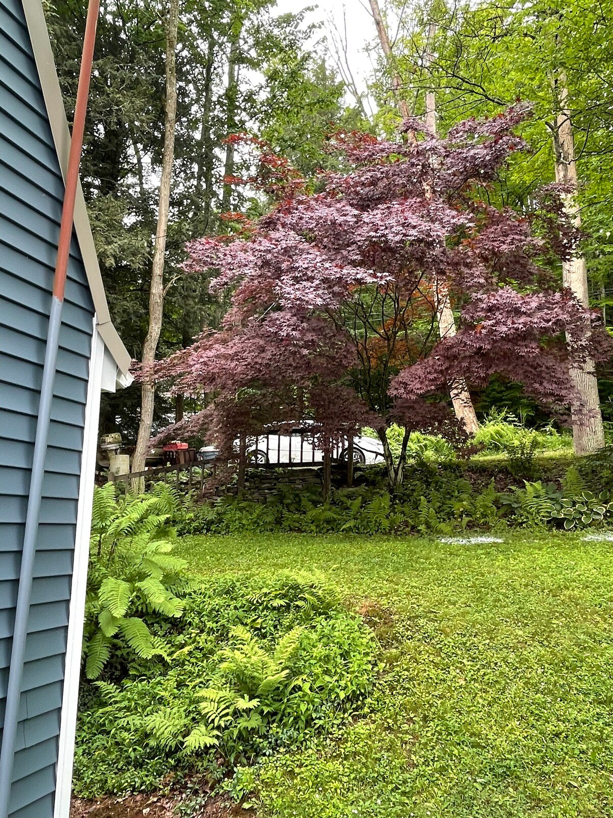 Cottage on Laurel Lake, perfect for a family