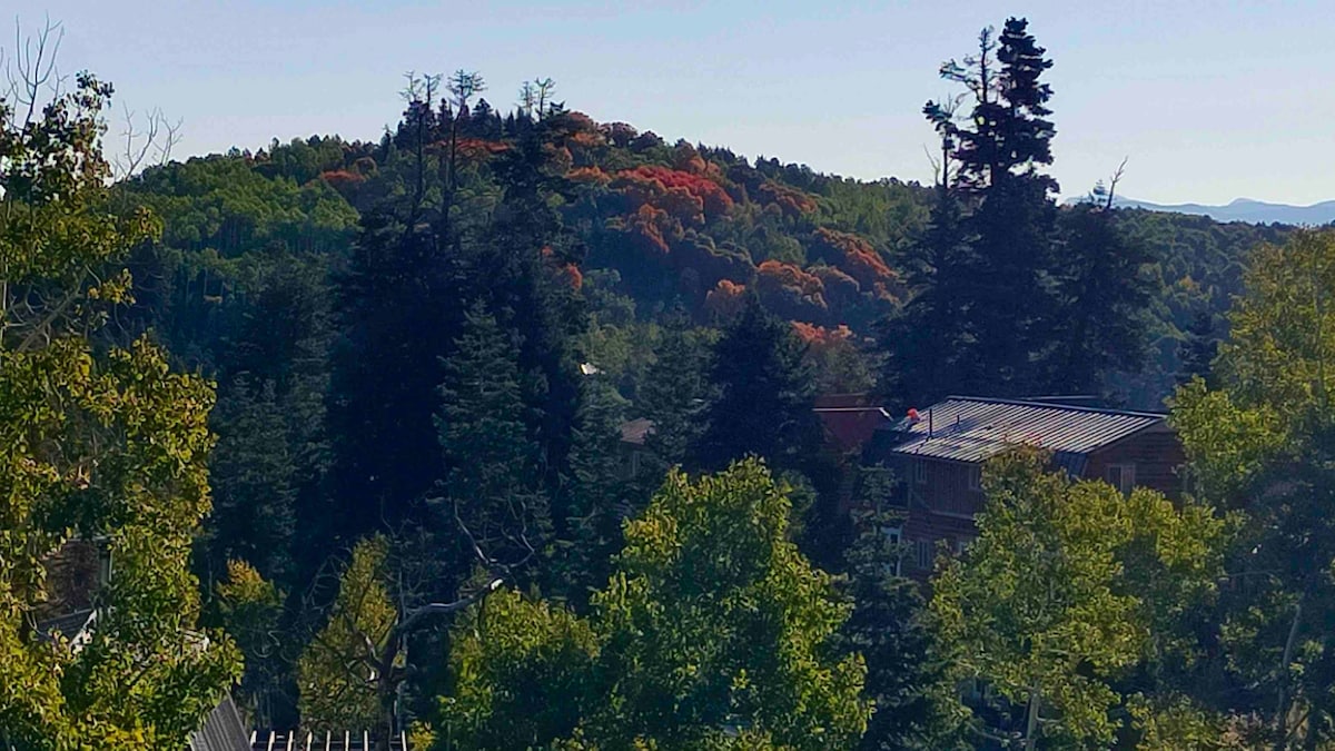 Aspen Meadow Lodge - Mtn Escape near Park City