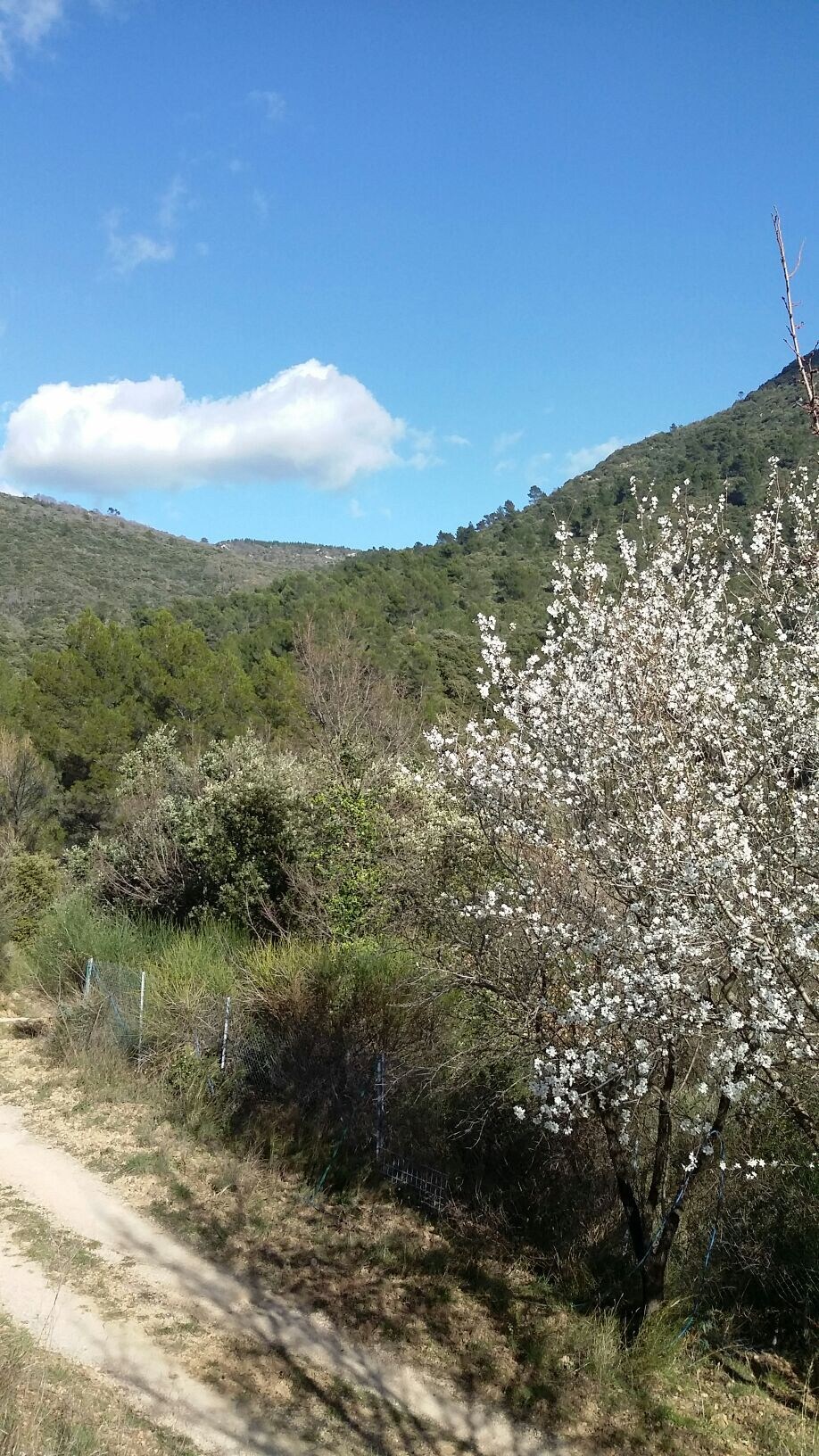 Escale au coeur de la Provence