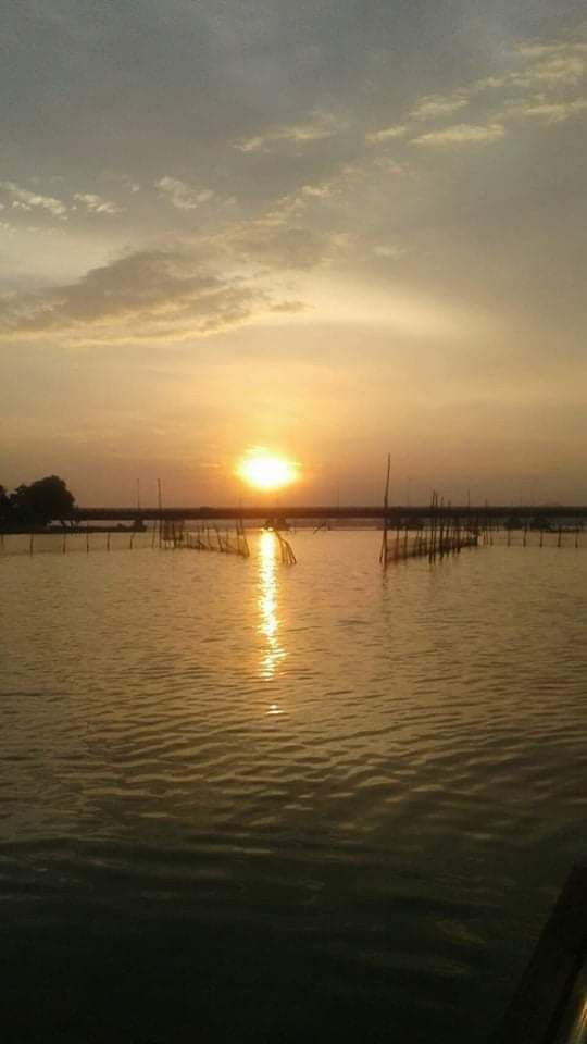 宋卡湖（ Songkhla Lake ）度假屋