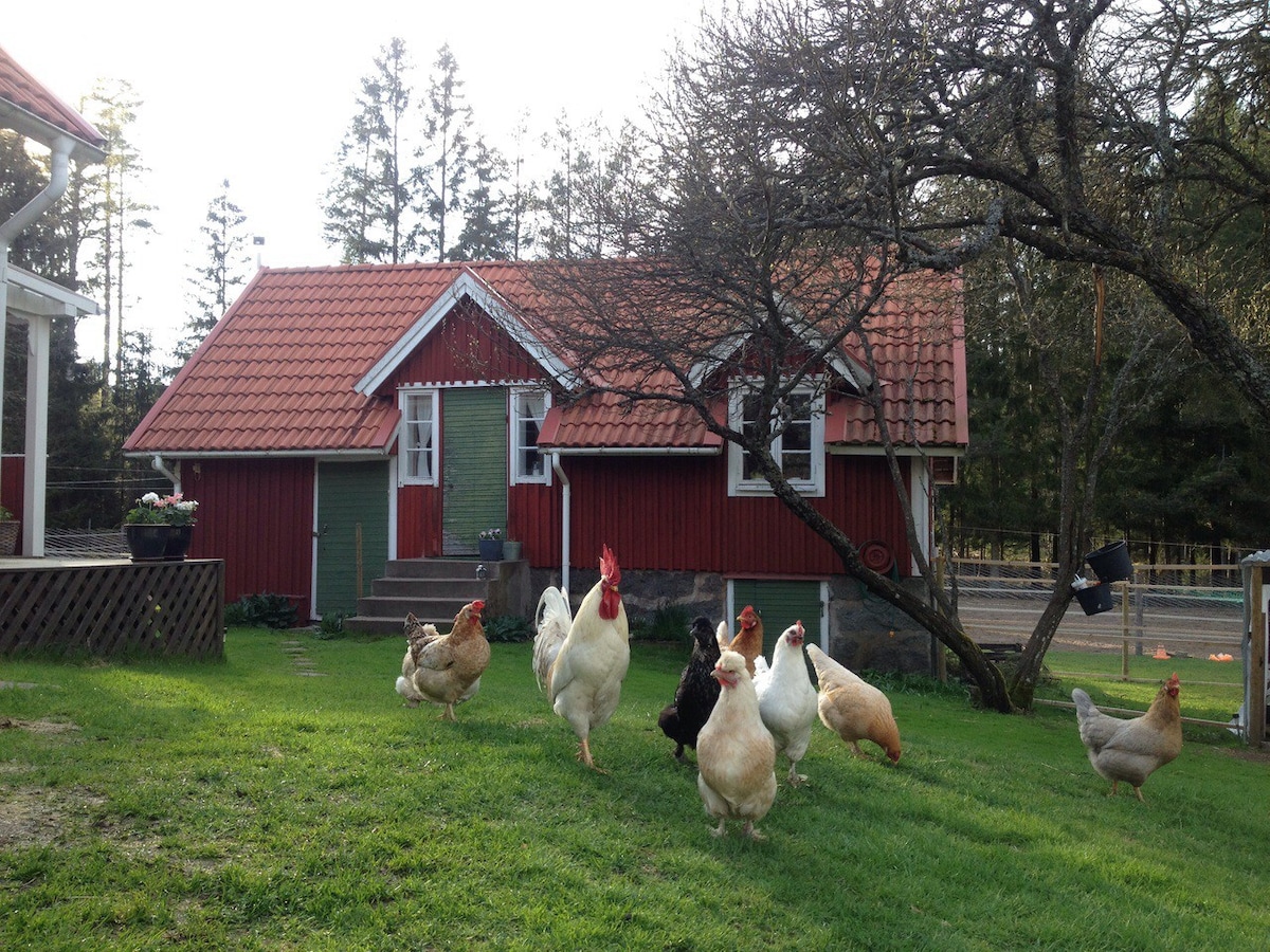 斯莫兰（ Småland ）的田园诗般的乡村小屋（ stuga ）