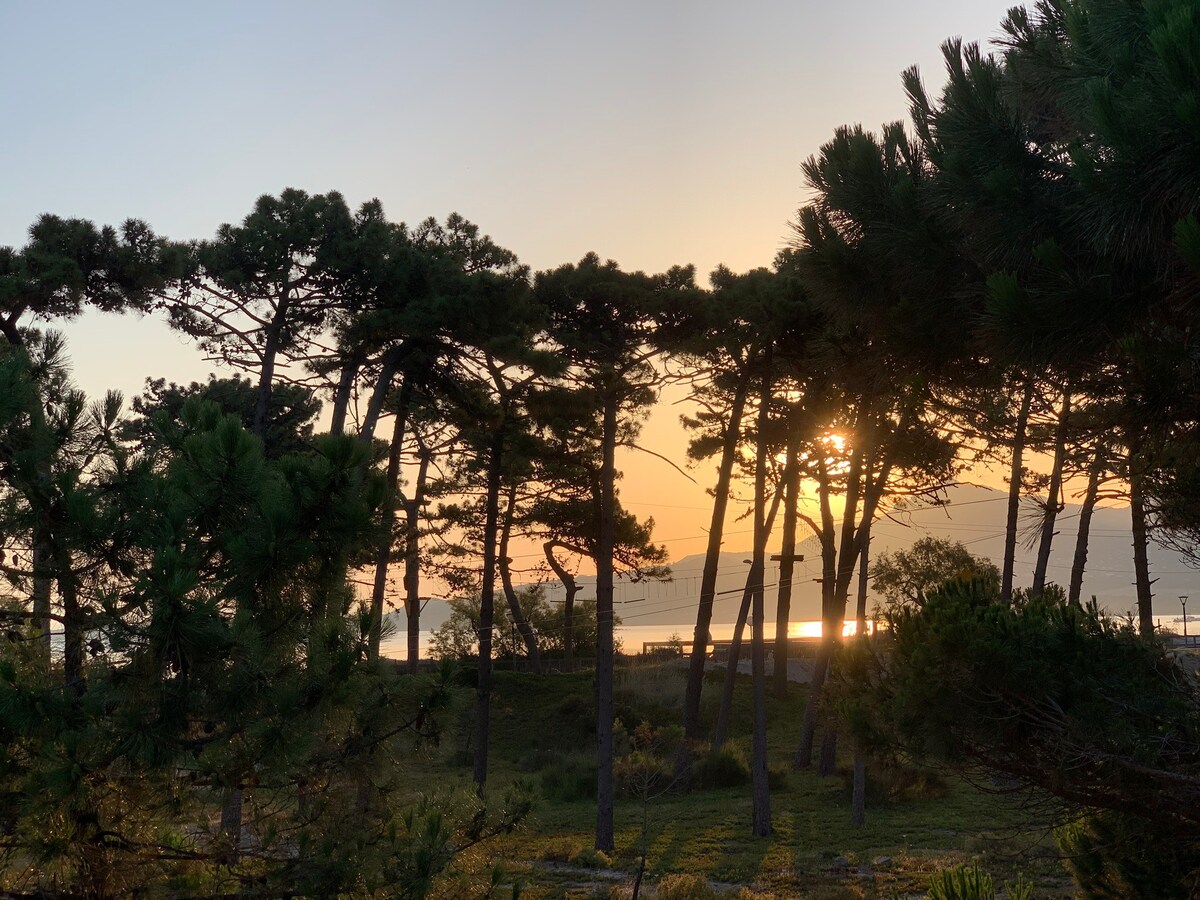 Appartement vue mer, sur plage de Calvi