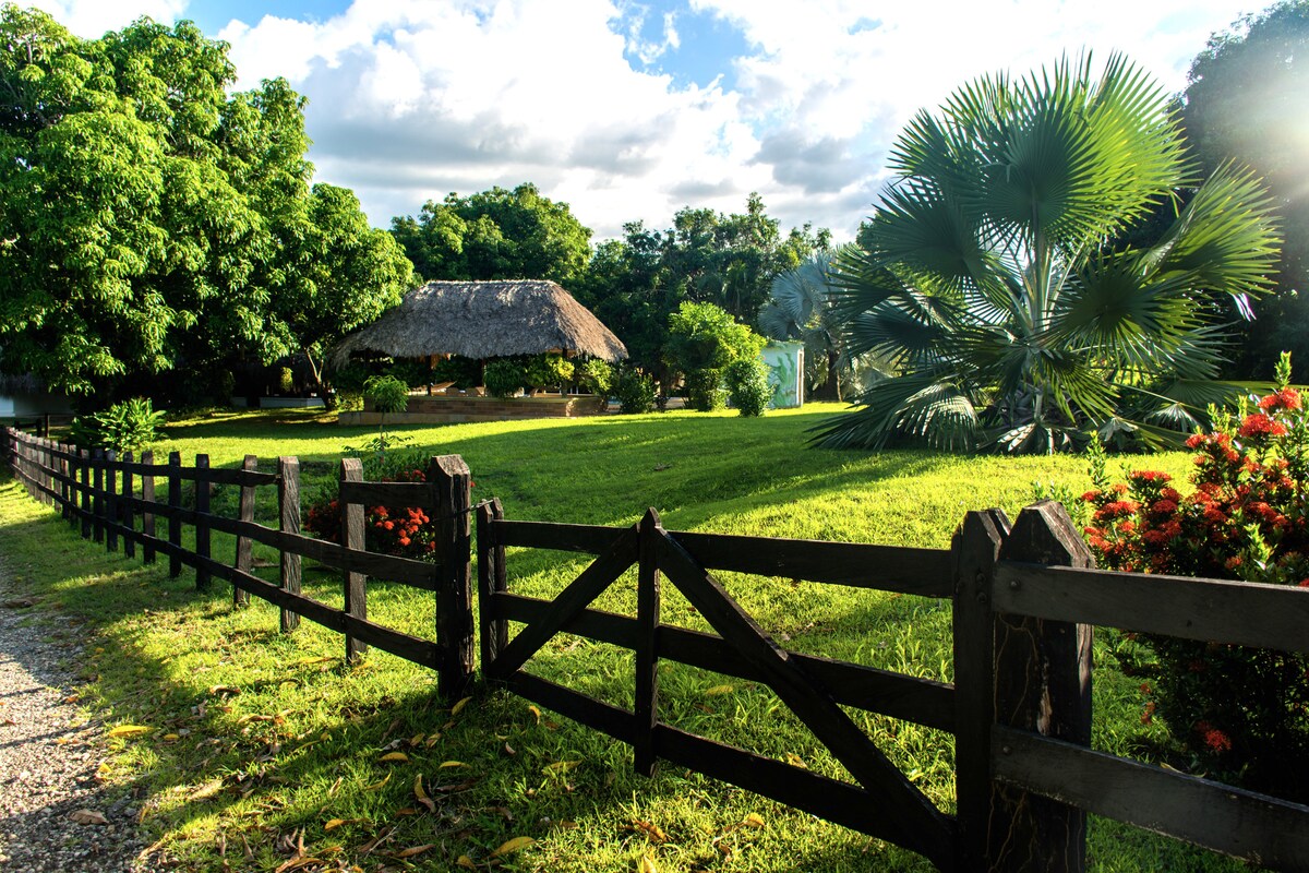 Farm Sanctuary with Pool, Cows and Natural Reserve