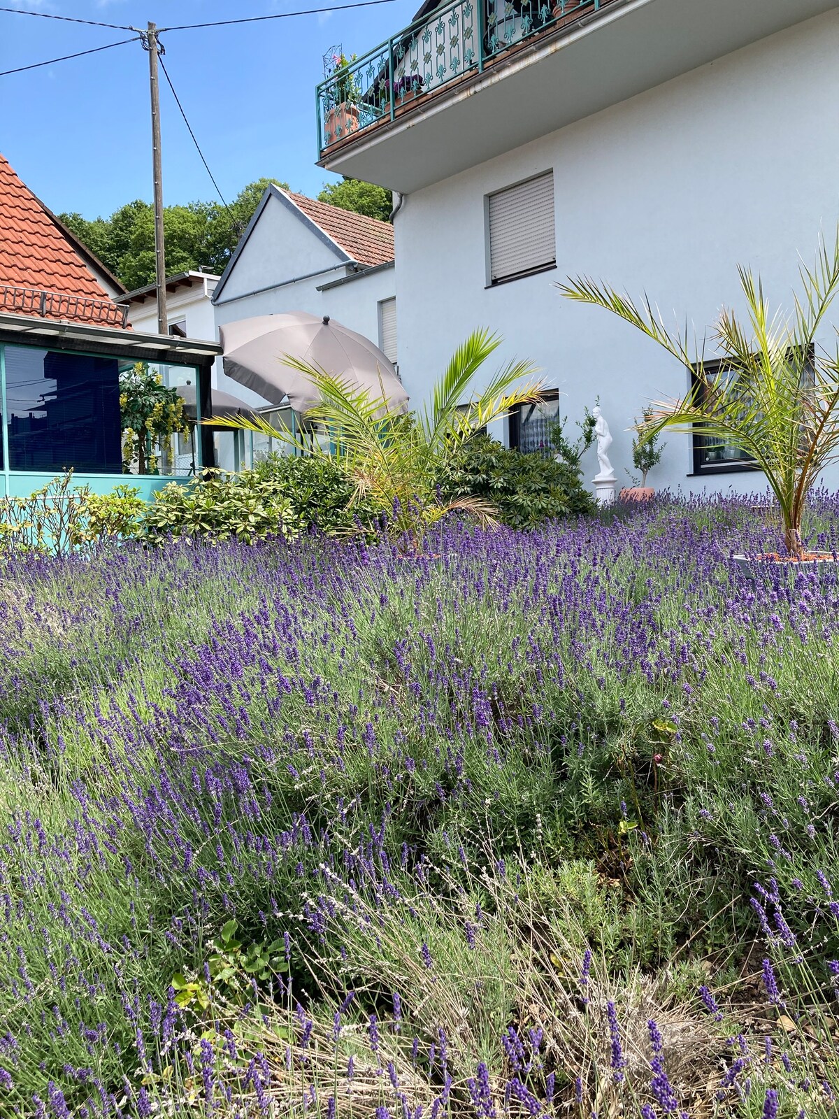 Ferienhaus mit Sauna im Taunus, ruhige Lage