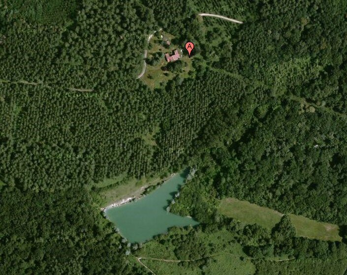 Rare forest house, untouched nature, swimming lake