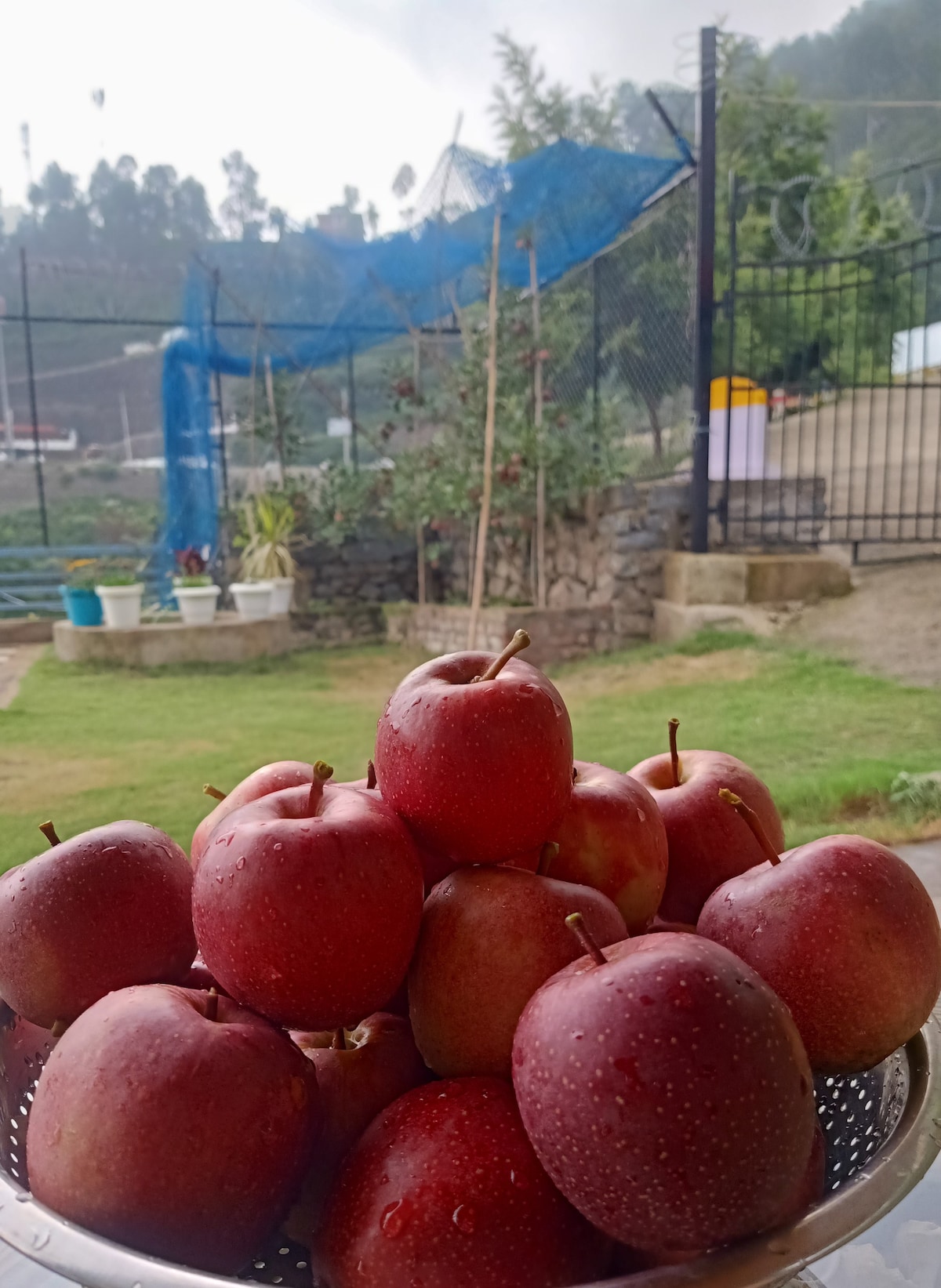 2bhk Farm Stay by The Red Roof Farms Barog