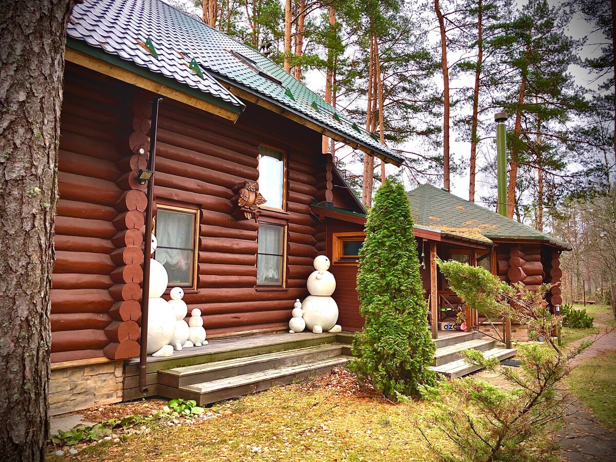 Деревянный загородный дом в лесу