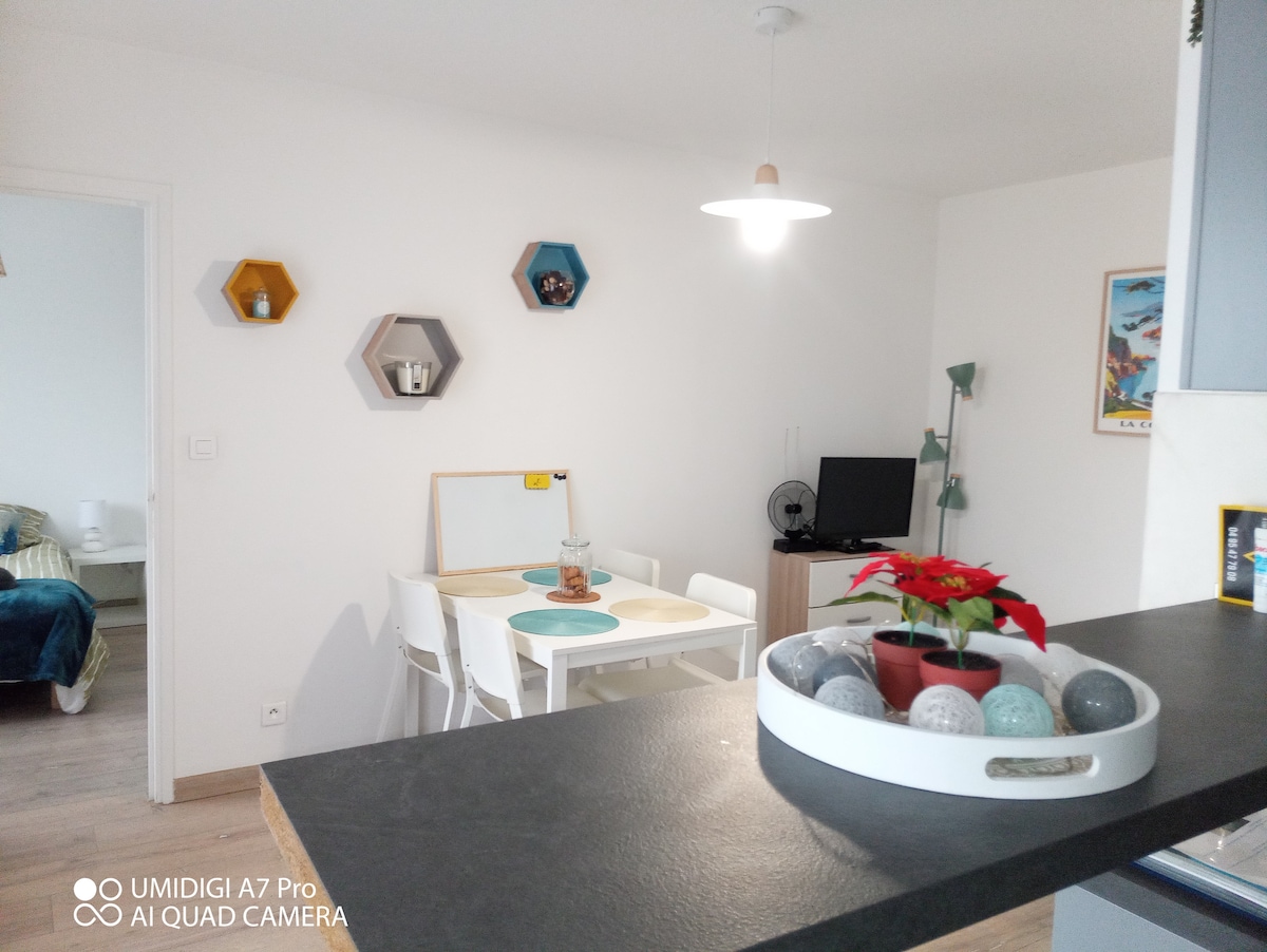 Borgo, appartement cosy tout équipé et bien situé