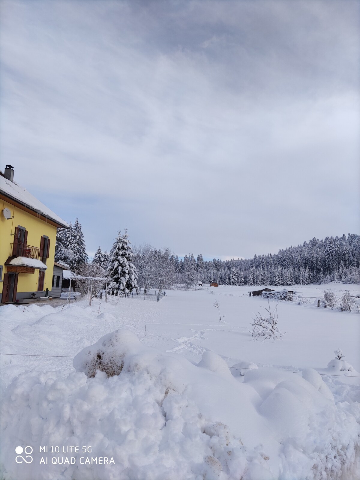 Le calme au milieu des sapins