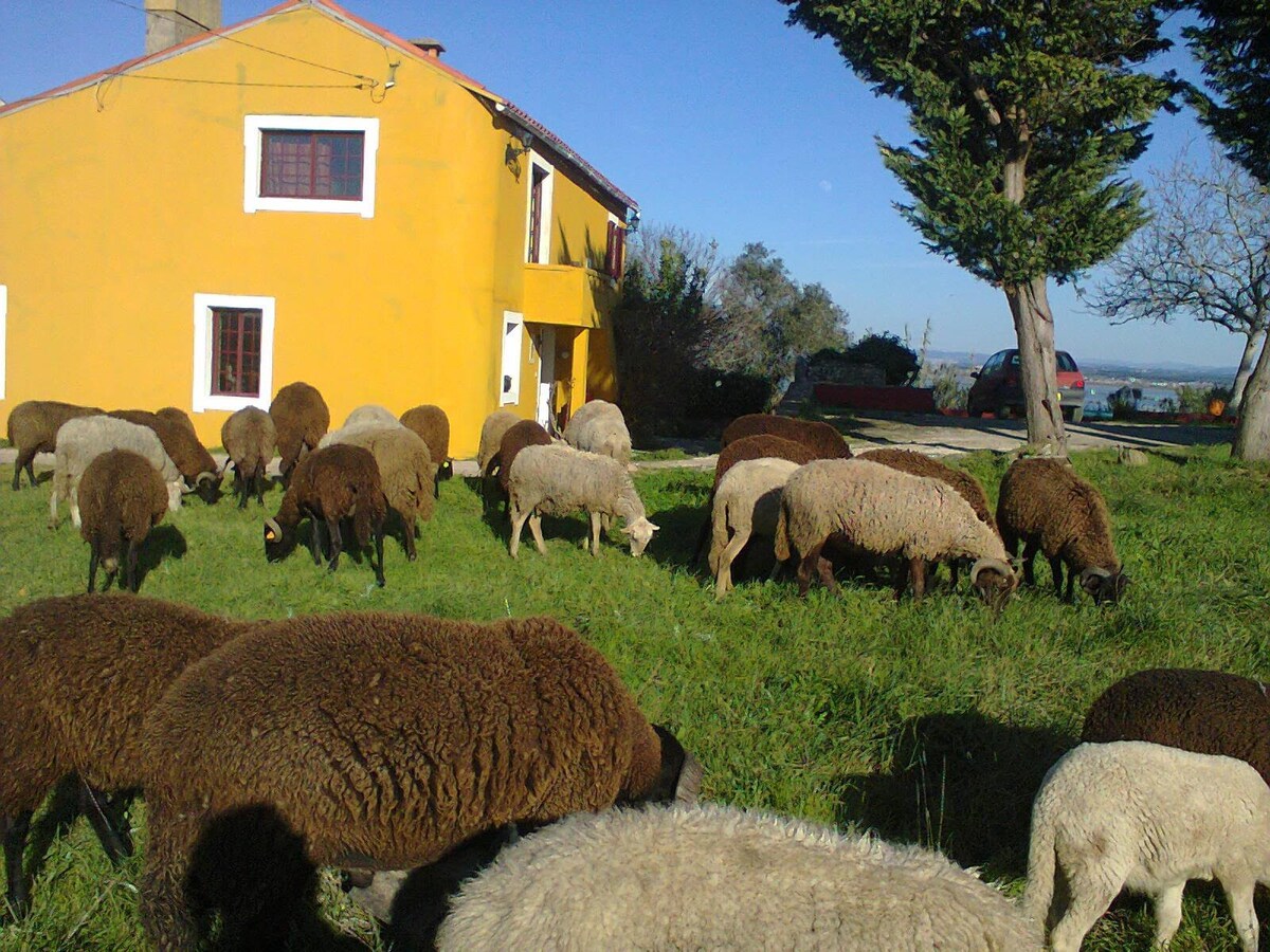 Casa Amarela do Monte