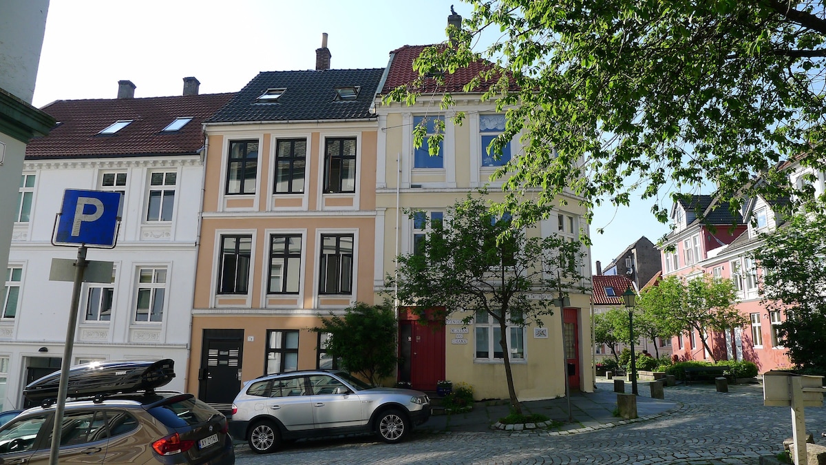 卑尔根（ Bergen ）中心的现代化公寓