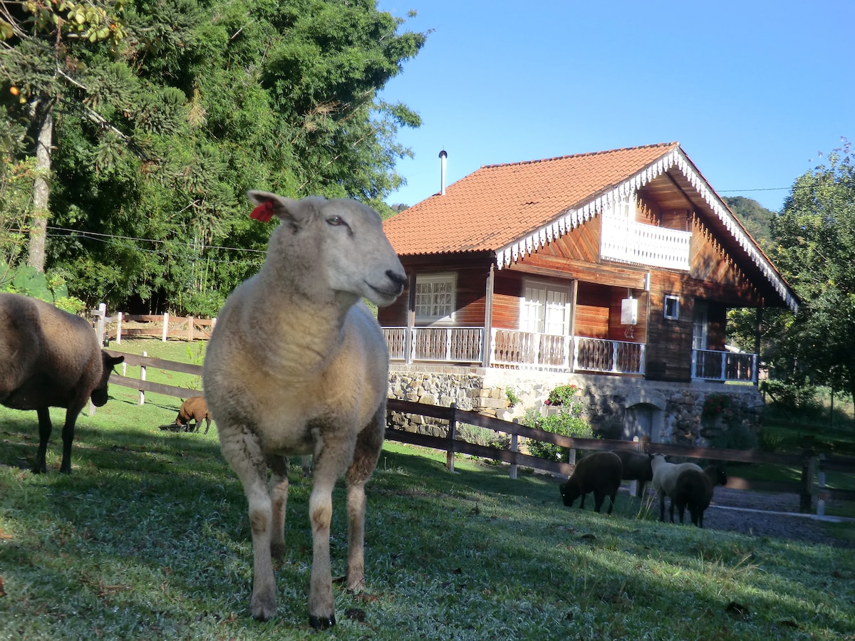 Morro do Sol度假木屋- Gramado （小屋）