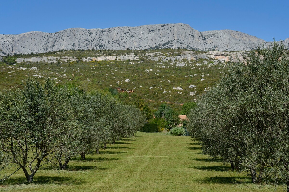 Aix-en-Pce - Ste Victoire Piscine网球体验（ 11人）