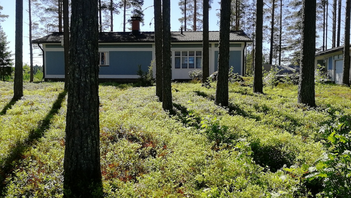 Grandmom's home by the lake Keitele