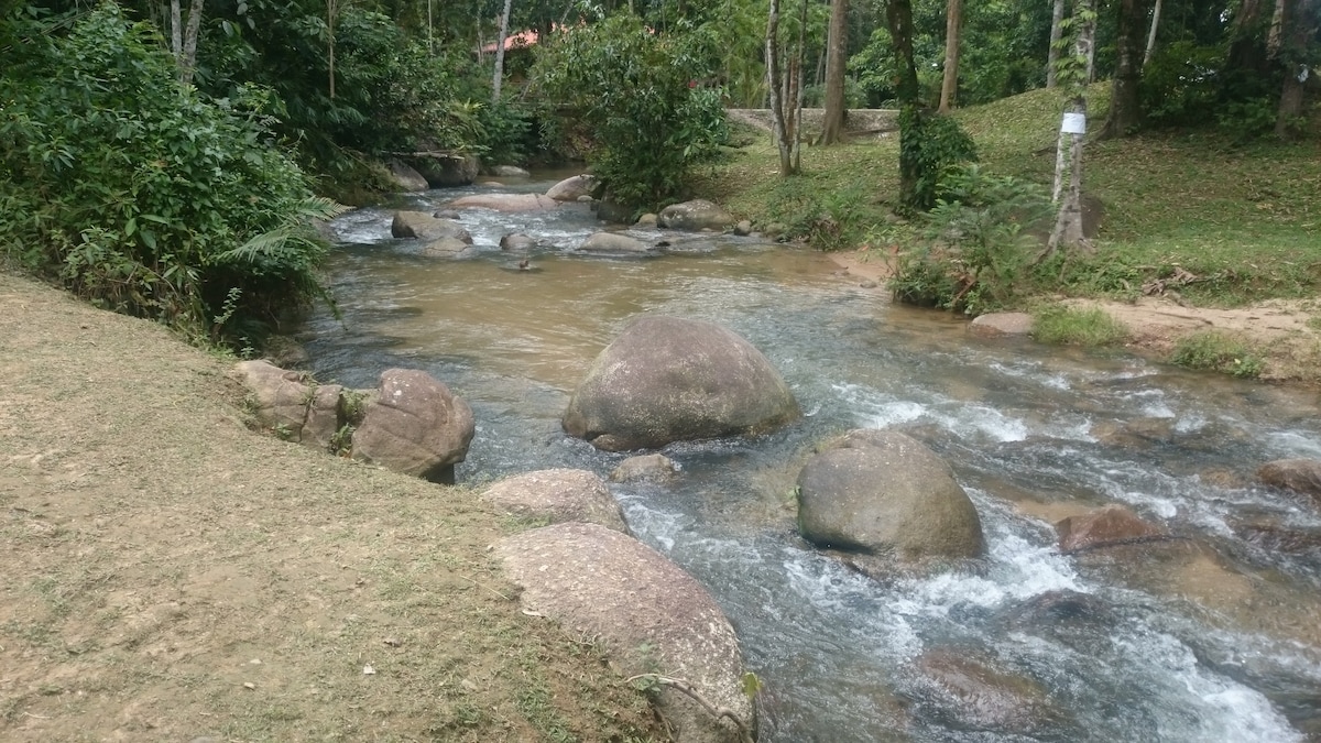 雨林中的生活@ Sedim Vista ， Kulim Kedah