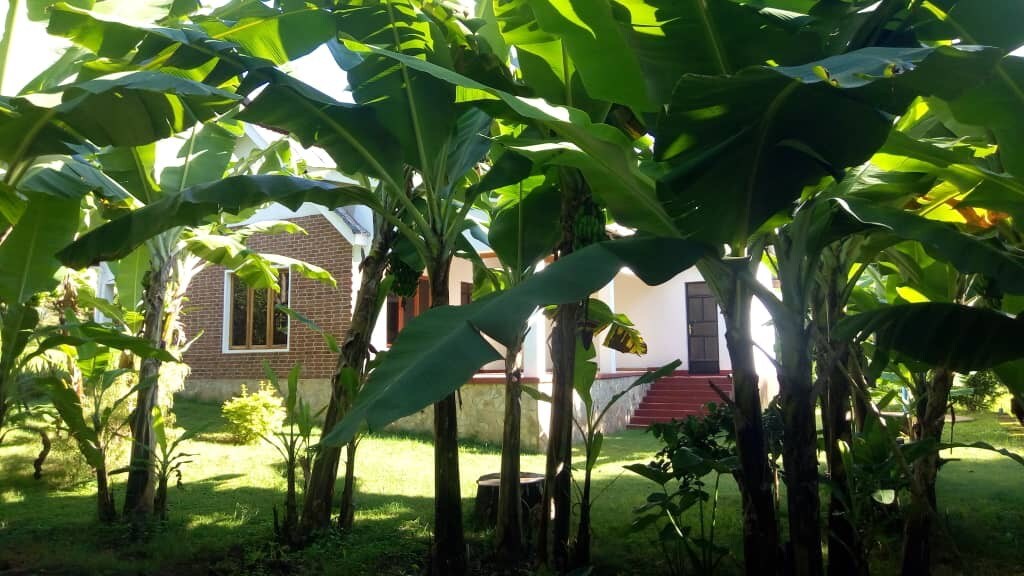 A beautiful House just Outside of Moshi Town