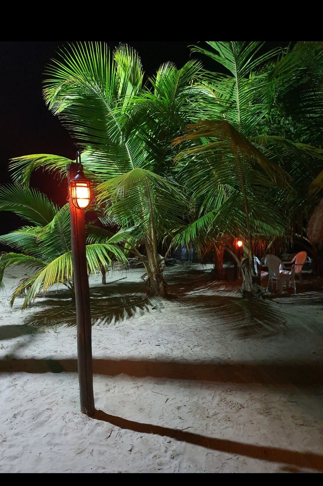 巴鲁海滩（ Baru Playa ）旅舍酒吧