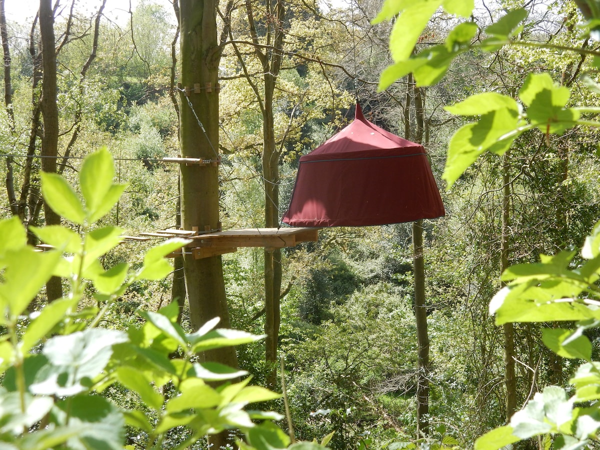 Woody Park - Suspended Tent