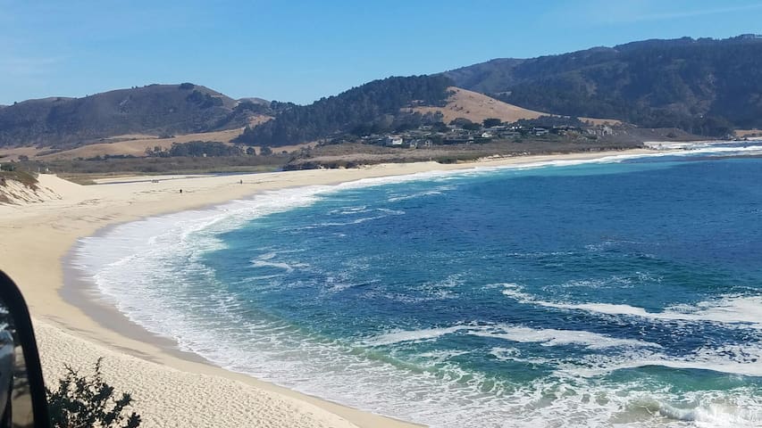 太平洋丛林(Pacific Grove)的民宿