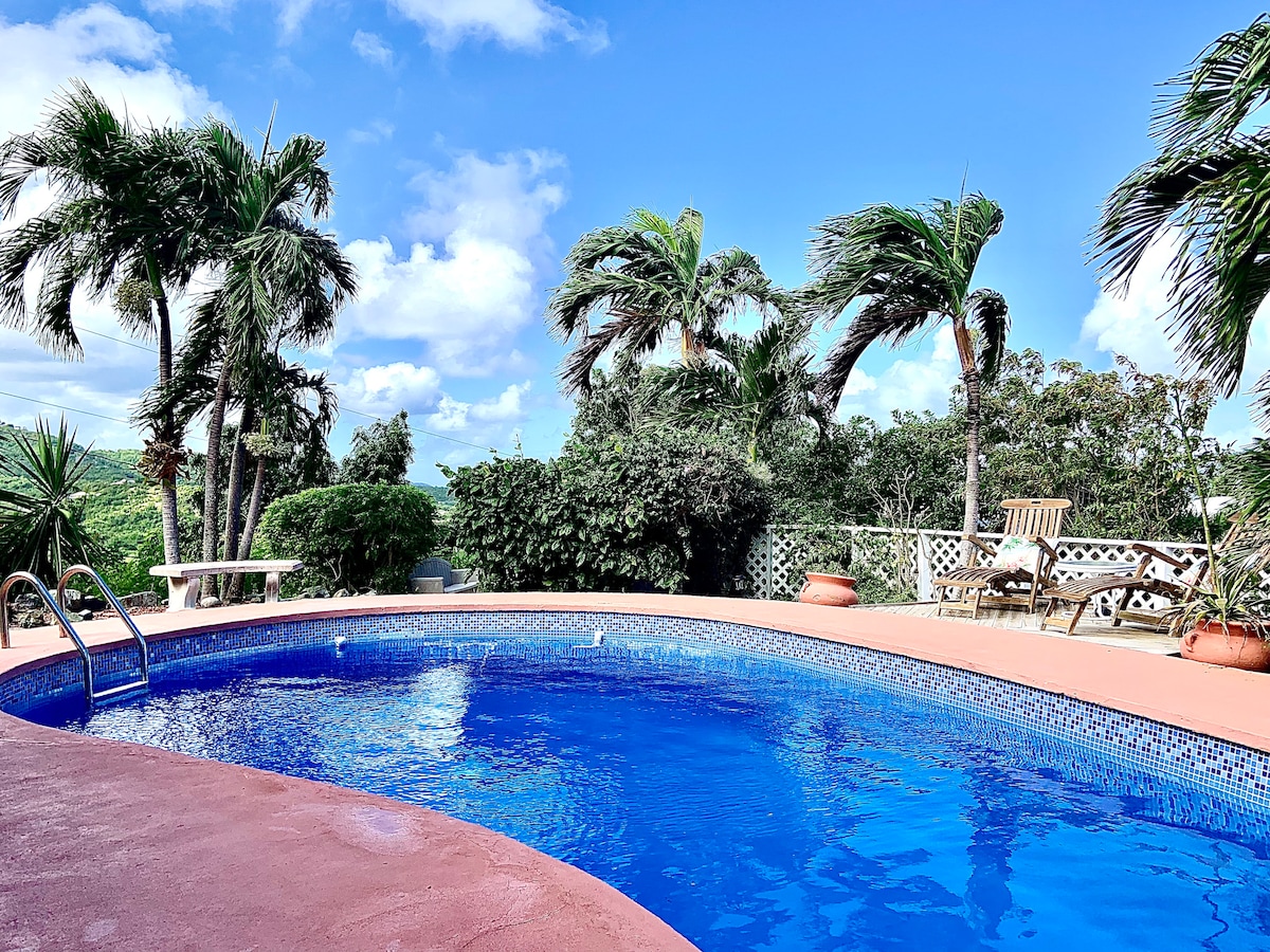 Sunshine & Happiness!  Pool, Ocean View,  Spacious