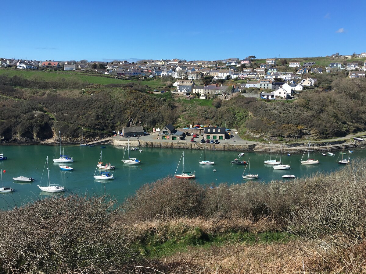 Fisherman's Cottage in the harbour village - Solva