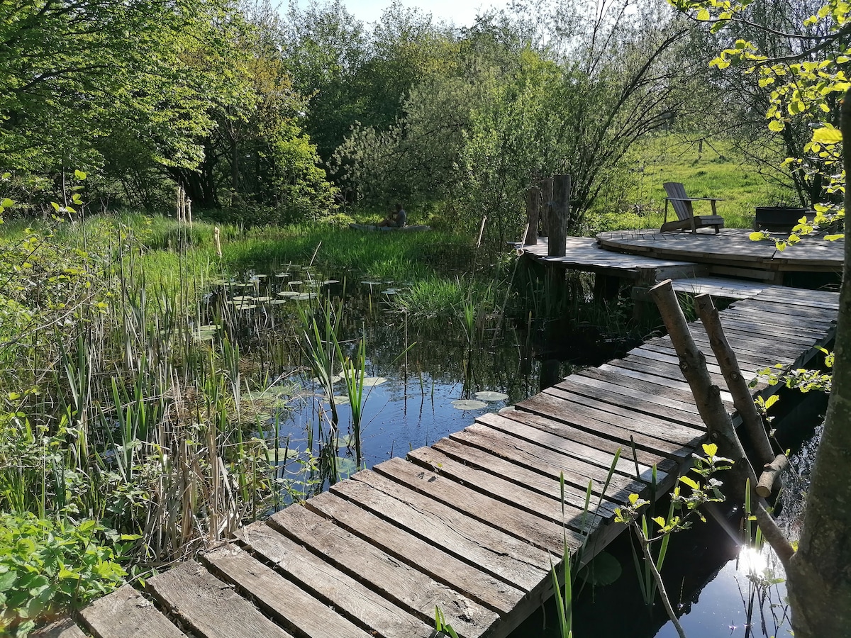 La Cabane aux Libellules