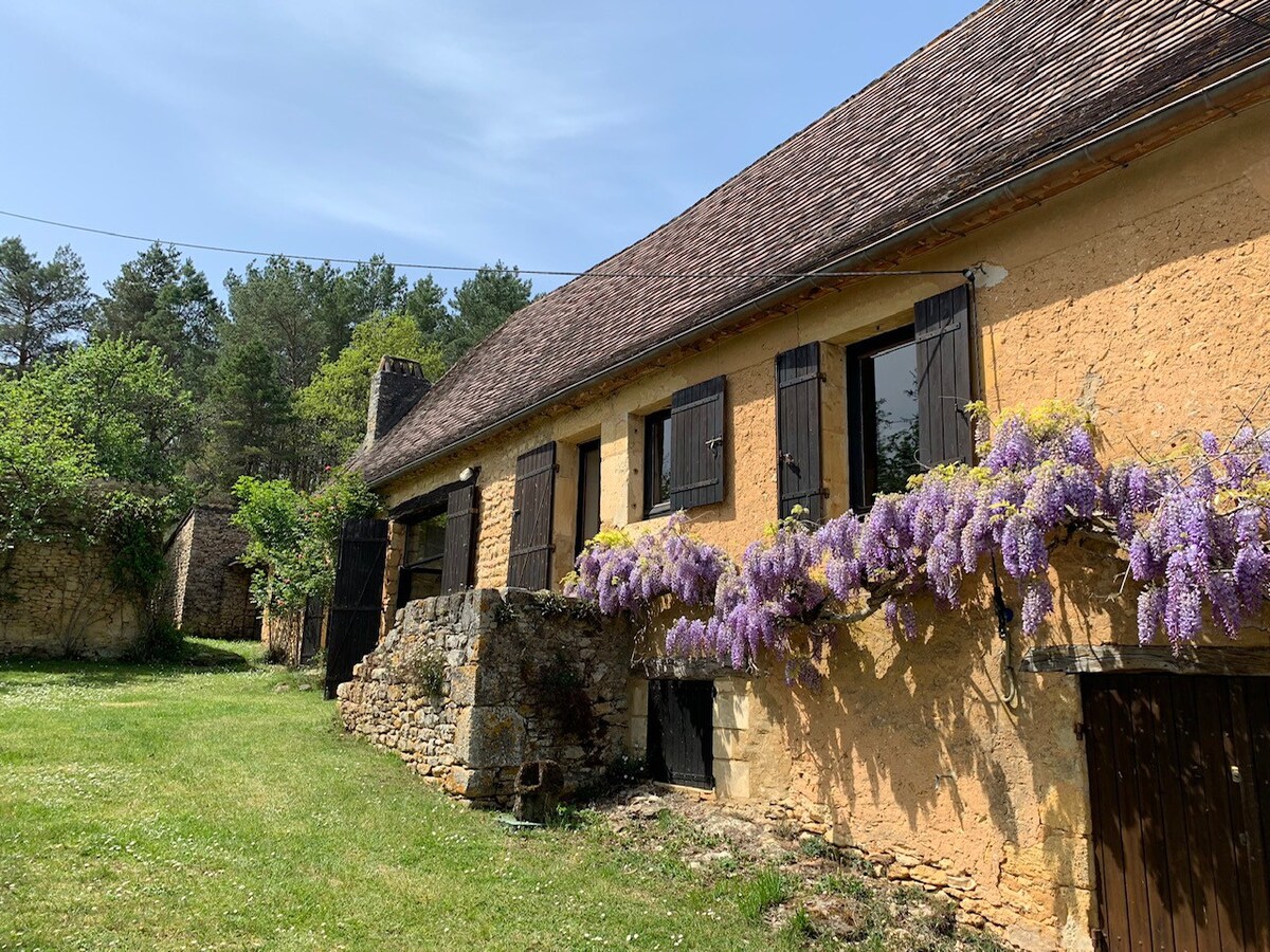 现代化的小屋，带泳池、景观和隐私