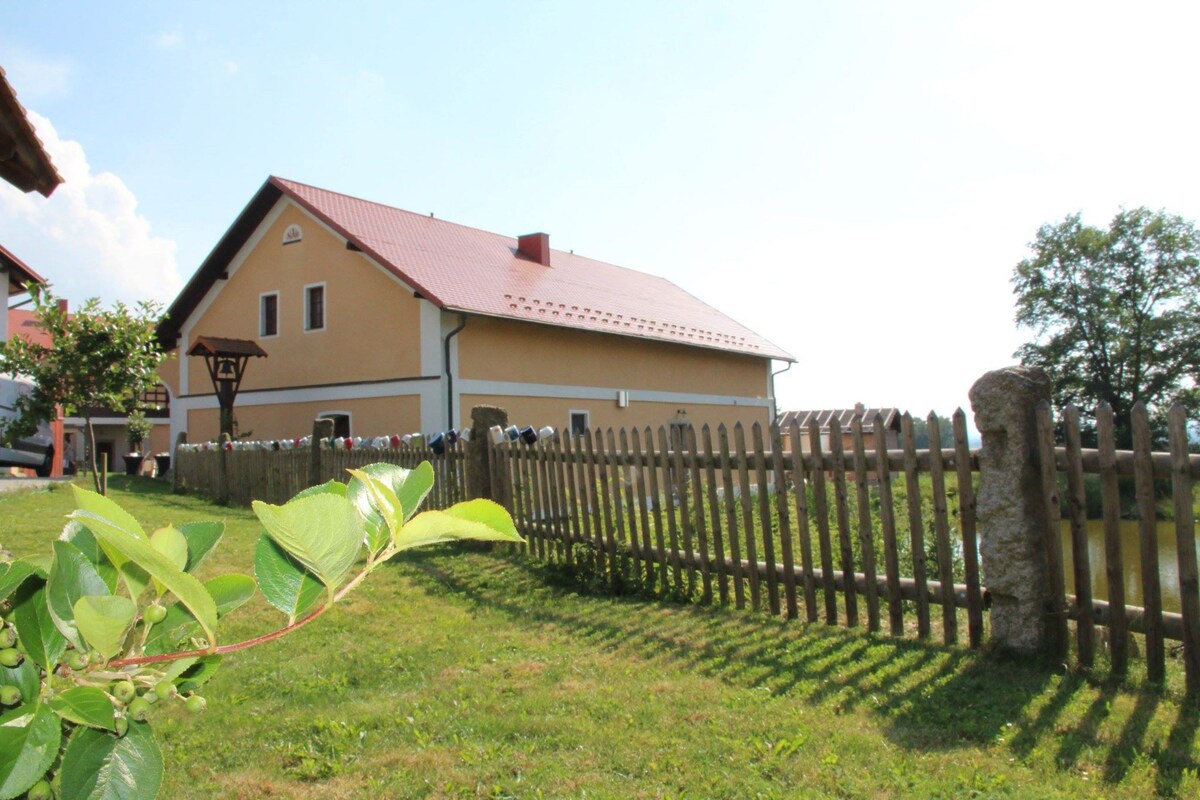 Farmhouse Selský Dvër - 3号房间