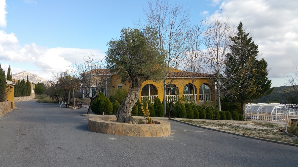 阿利坎特塞拉德尔迈格莫别墅。