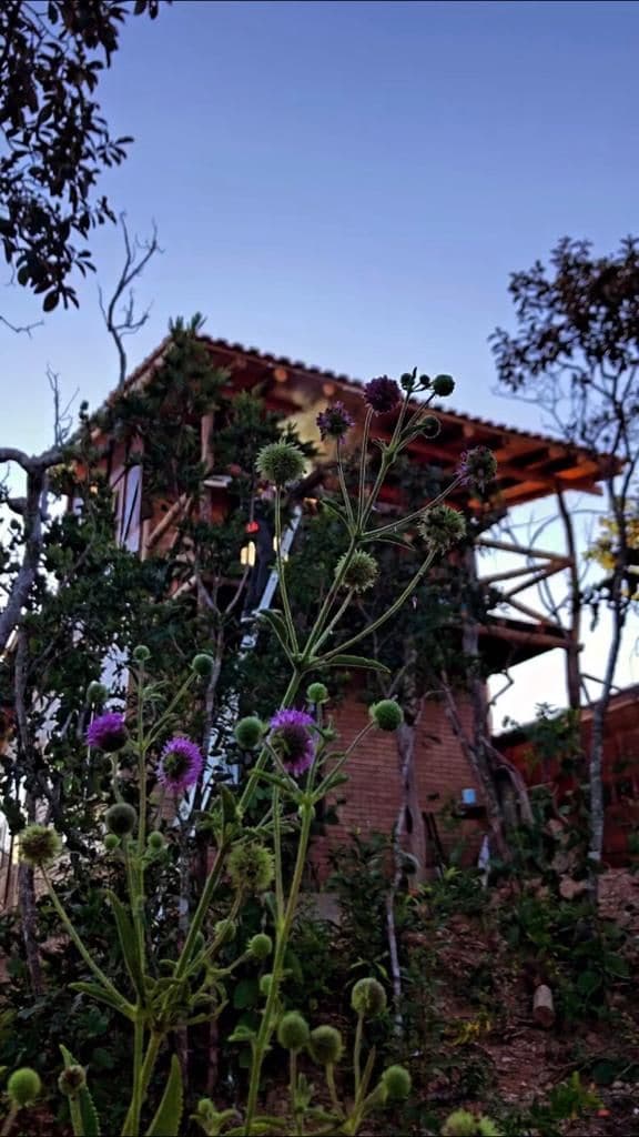 Cabana do Cerrado - Vale do Rio Soliência