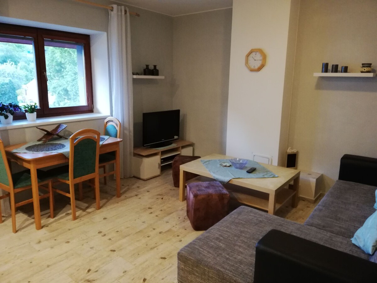 Apartmán u Kartouzky