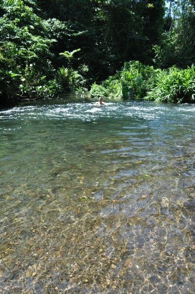 The Bear 's House - Jungle Cottage with river