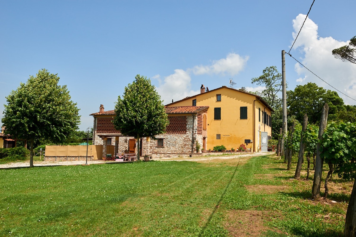 Rustic apartment 3 km from Lucca